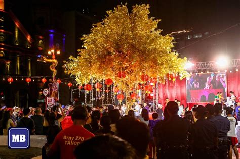city of lights binondo|Manila unveils, lights Prosperity Tree in Binondo for CNY celebration.
